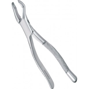 Extracting Forceps Adults 